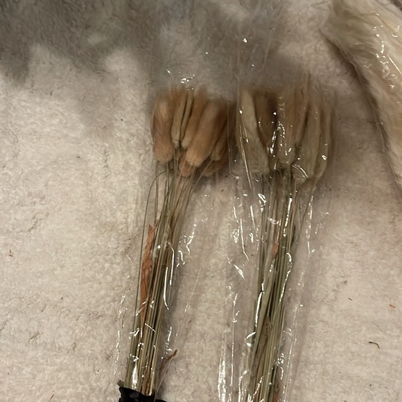 Pampas Big lot of flowers pampas - Picture 3 of 4